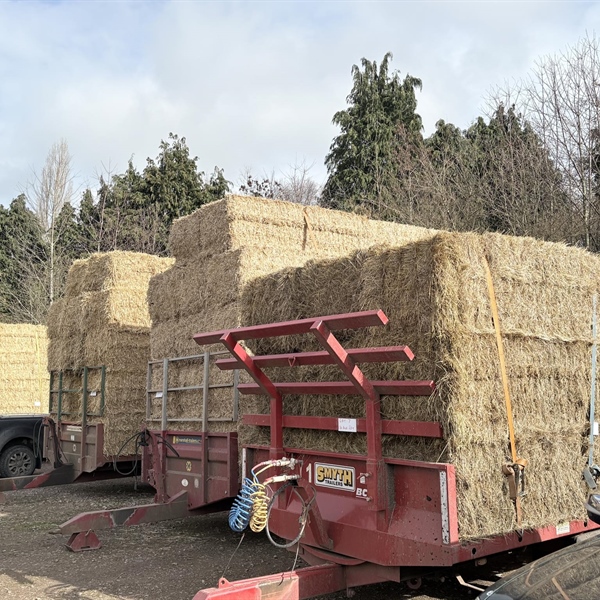 Fodder Sale