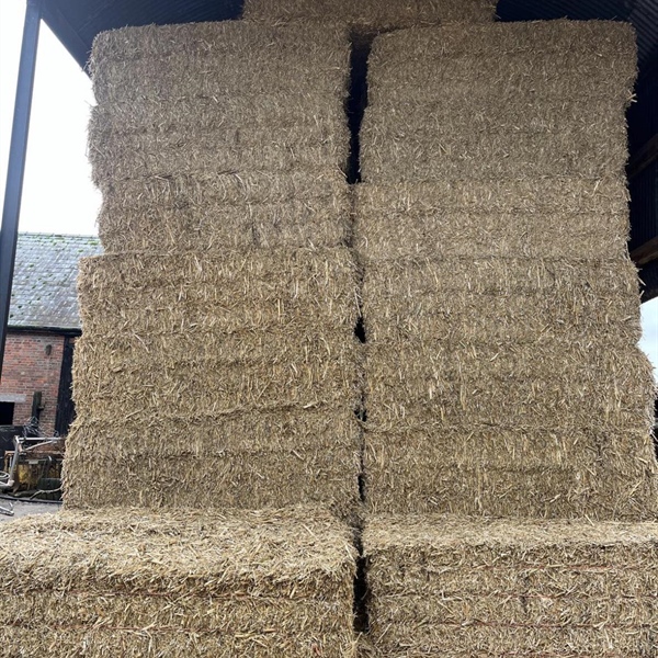 Fodder Sale