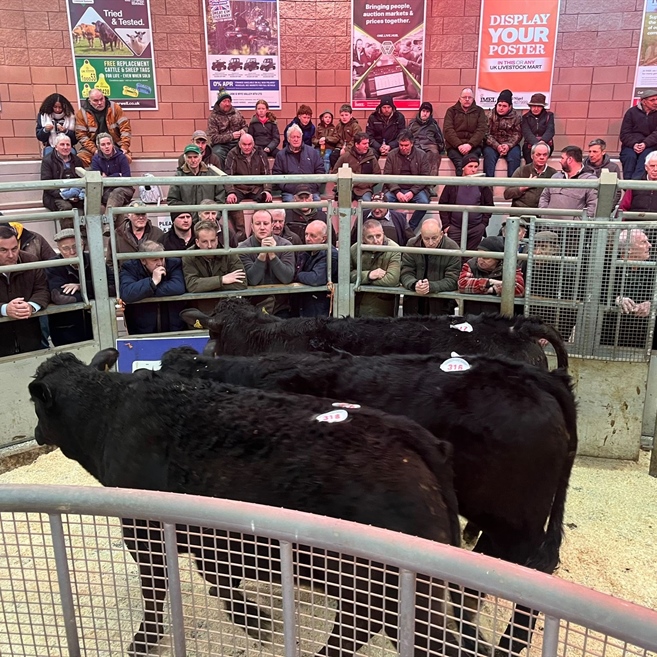 Weekly Wednesday Sale