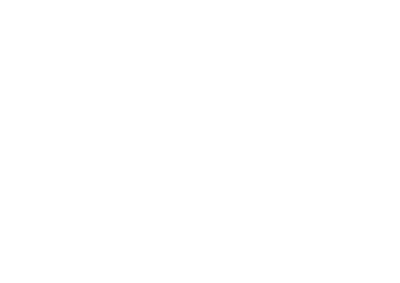 Newlands Auction Services